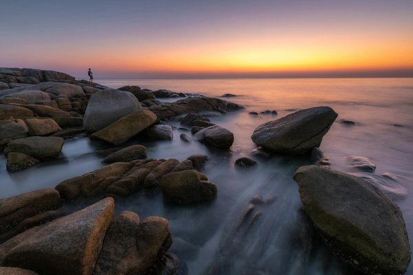 Quels sont les meilleurs conseils pour camper en région de forêt tropicale avec observation des primates?