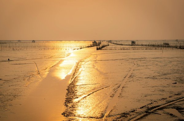 Quels sont les meilleurs conseils pour camper en région de forêt dense en hiver?