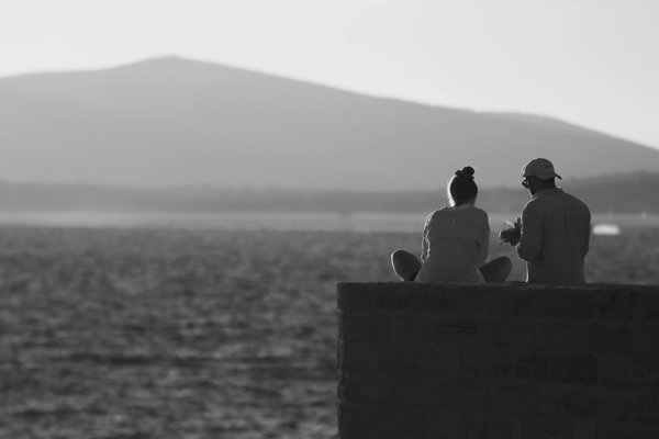 Quels sont les meilleurs itinéraires pour une randonnée en forêt de chênes en France?